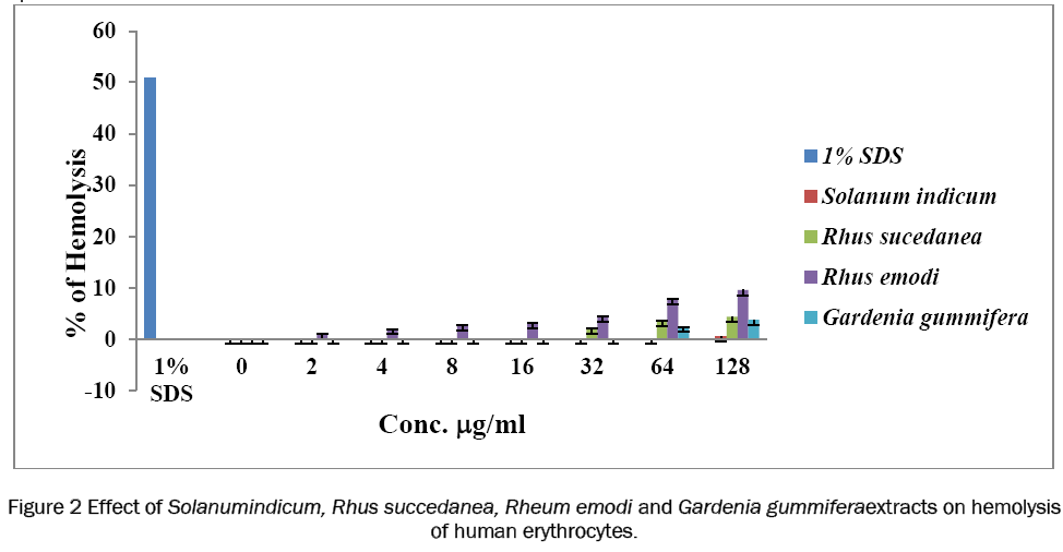 pharmaceutical-sciences-Effect-Solanumindicum