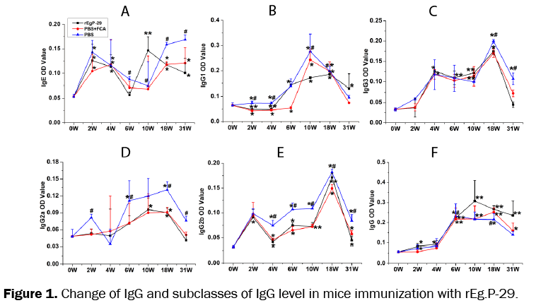 pharmaceutical-sciences-IgG-subclasses