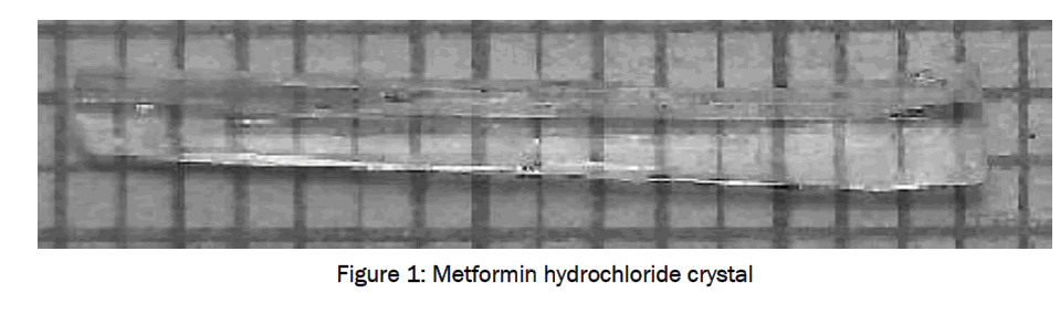 pharmaceutical-sciences-Metformin-hydrochloride