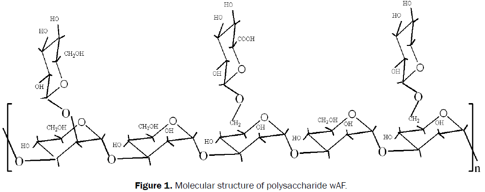 pharmaceutical-sciences-Molecular-structure-polysaccharide-wAF