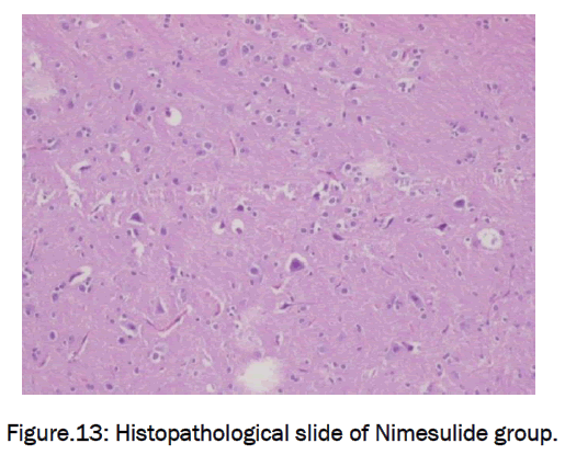 pharmaceutical-sciences-Nimesulide-group