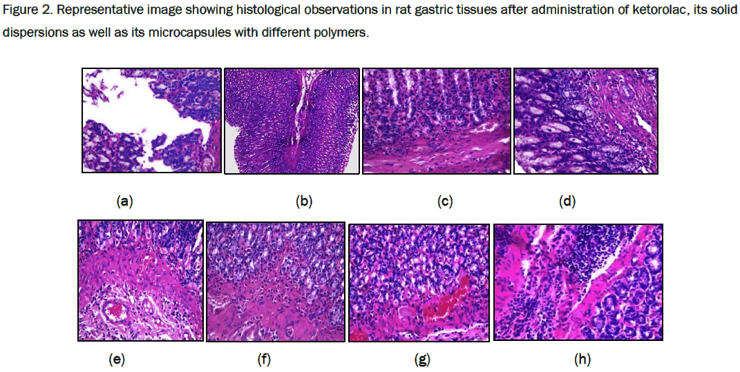 pharmaceutical-sciences-Representative-image-histological-observations