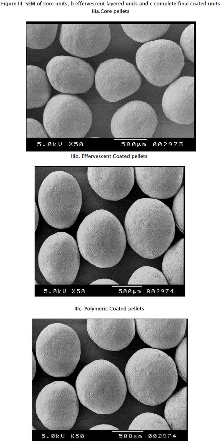 pharmaceutical-sciences-SEM-core-units-effervescent