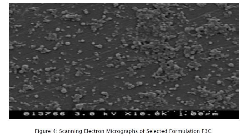 pharmaceutical-sciences-Scanning-Electronx