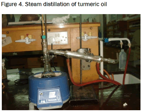 pharmaceutical-sciences-Steam-distillation-turmeric-oil