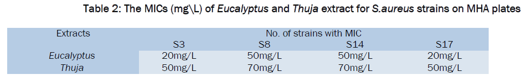 pharmaceutical-sciences-The-MICs-Eucalyptus-Thuja