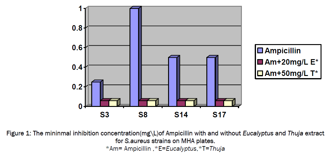 pharmaceutical-sciences-The-mininmal-inhibition-concentration