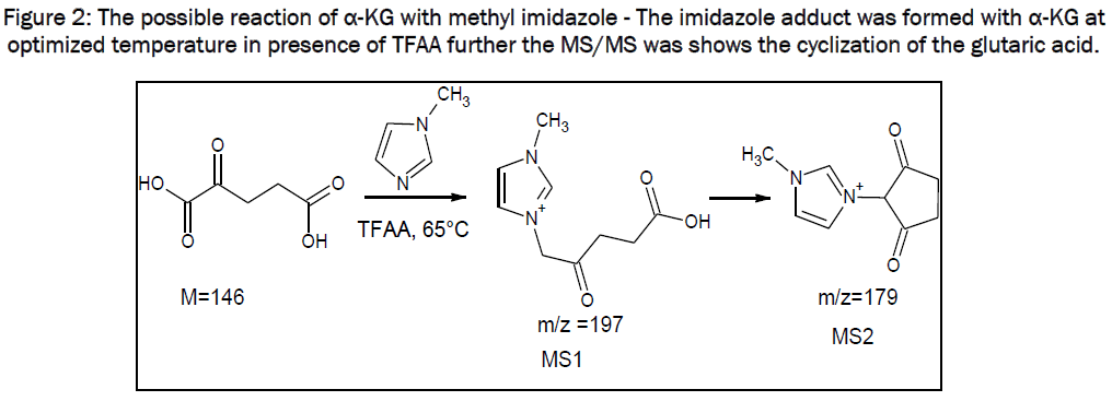 pharmaceutical-sciences-The-possible-reaction-methyl