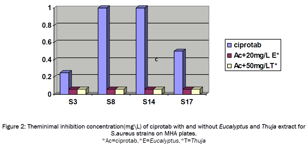 pharmaceutical-sciences-Themininmal-inhibition-concentration