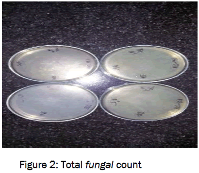 pharmaceutical-sciences-Total-fungal-count