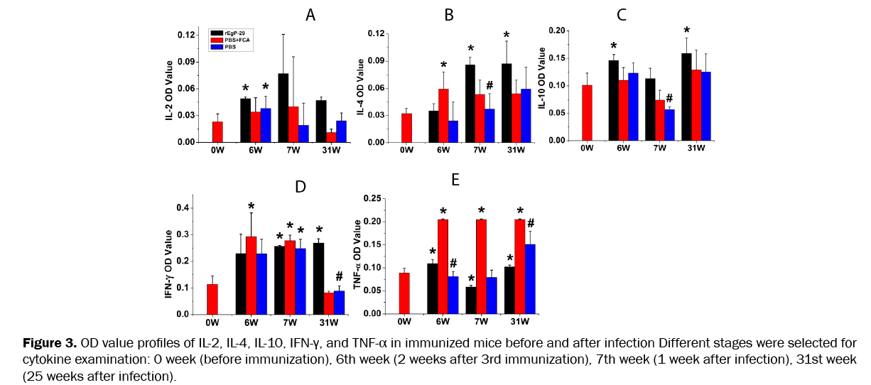 pharmaceutical-sciences-before-after-infection