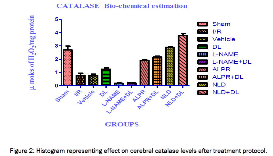 pharmaceutical-sciences-cerebral-catalase