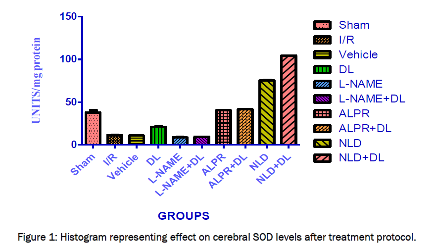 pharmaceutical-sciences-levels-treatment