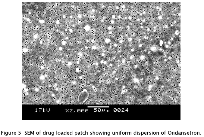 pharmaceutical-sciences-loaded-patch