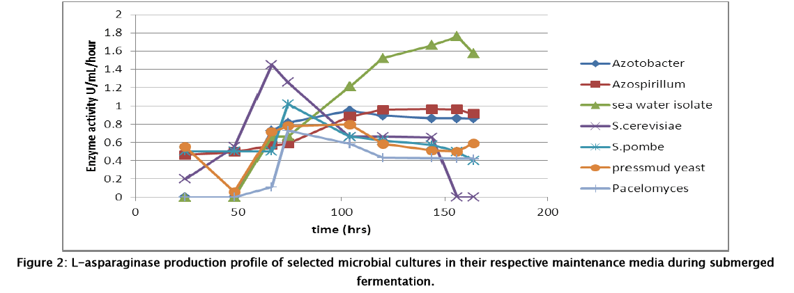 pharmaceutical-sciences-microbial-cultures