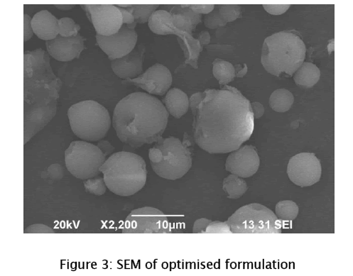 pharmaceutical-sciences-optimised-formulation