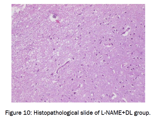 pharmaceutical-sciences-slide-NAME