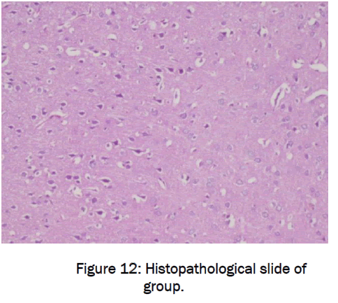 pharmaceutical-sciences-slide-group