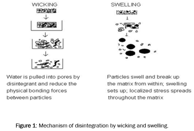 pharmaceutical-sciences-wicking-swelling