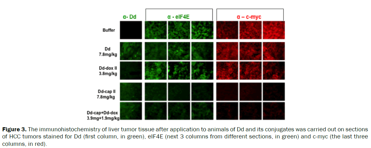 pharmaceutics-and-nanotechnology-immunohistochemistry