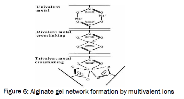 pharmaceutics-nanotechnology-Alginate-gel-network