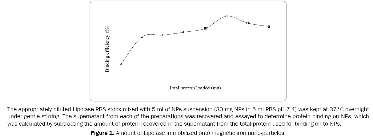 pharmaceutics-nanotechnology-Amount-Lipolase-immobilized