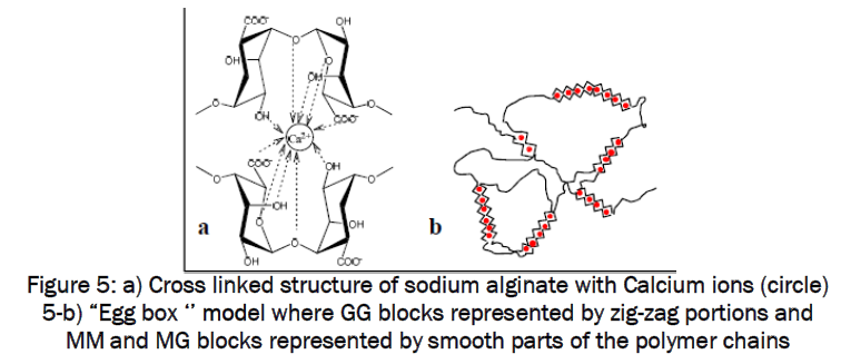 pharmaceutics-nanotechnology-Cross-linked-structure