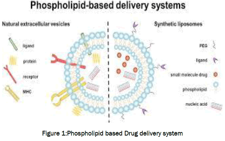 pharmaceutics-nanotechnology-Drug-delivery