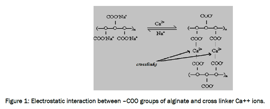 pharmaceutics-nanotechnology-Electrostatic-interaction-between