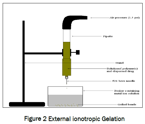 pharmaceutics-nanotechnology-External-ionotropic-Gelation