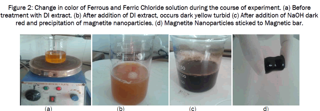 pharmaceutics-nanotechnology-Ferrous-Ferric