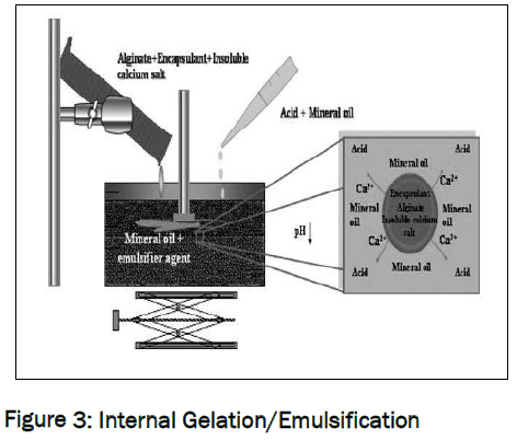 pharmaceutics-nanotechnology-Internal-Gelation