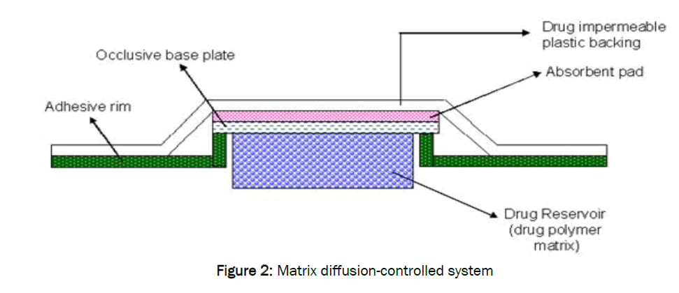 pharmaceutics-nanotechnology-Matrix-diffusion