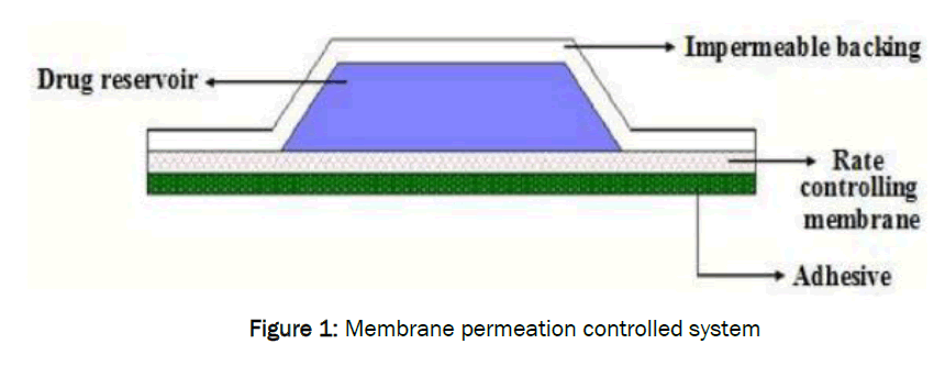 pharmaceutics-nanotechnology-Membrane-permeation