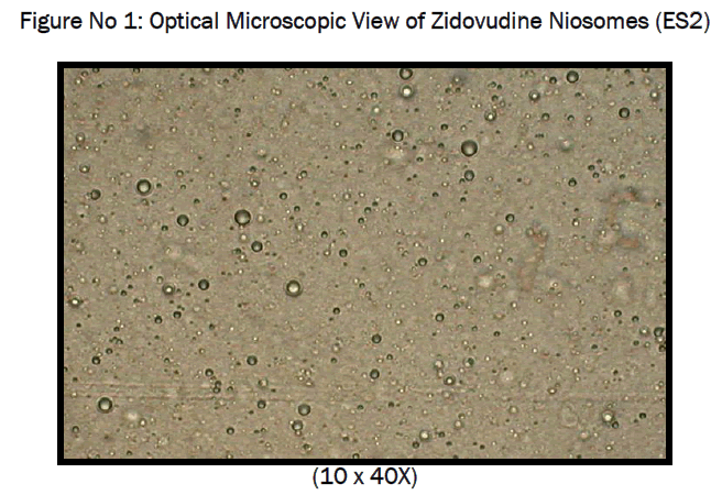 pharmaceutics-nanotechnology-Optical-Microscopic