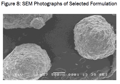 pharmaceutics-nanotechnology-SEM-Photographs