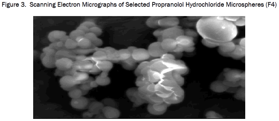 pharmaceutics-nanotechnology-Scanning-Electron