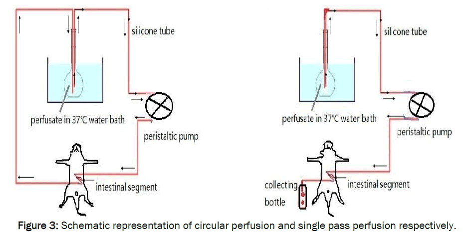 pharmaceutics-nanotechnology-Schematic-representation