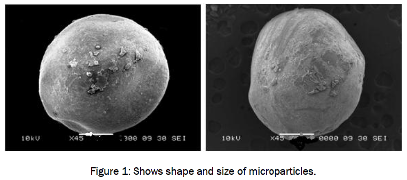 pharmaceutics-nanotechnology-Shows-shape-size