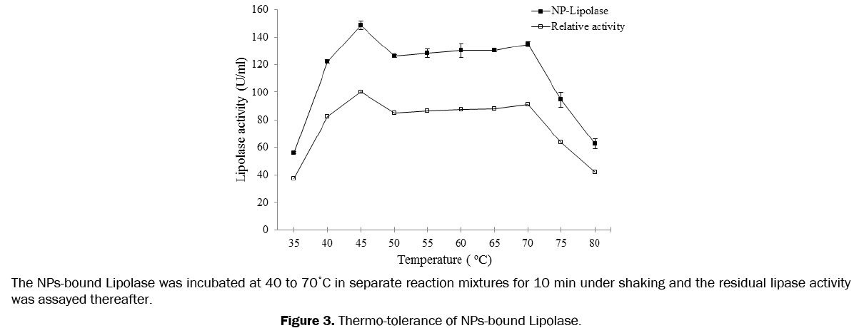 pharmaceutics-nanotechnology-Thermo-tolerance-NPs-bound