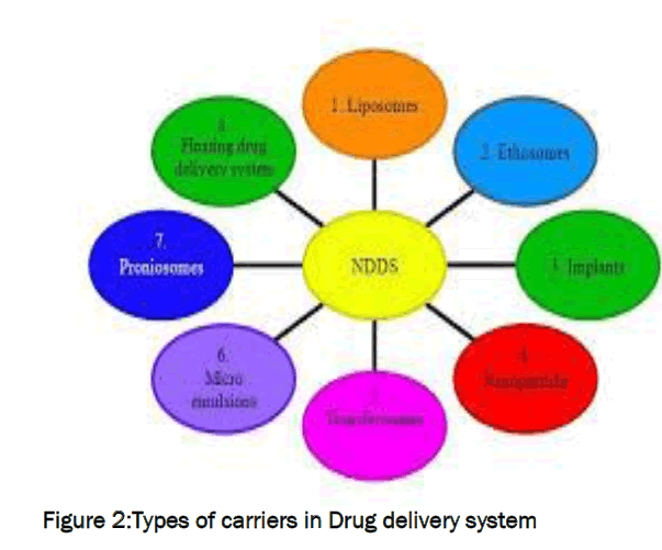 pharmaceutics-nanotechnology-Types-carriers