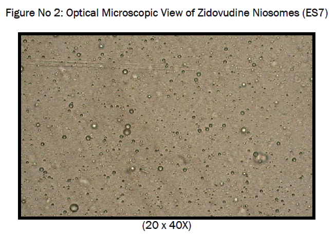 pharmaceutics-nanotechnology-Zidovudine-Niosomes