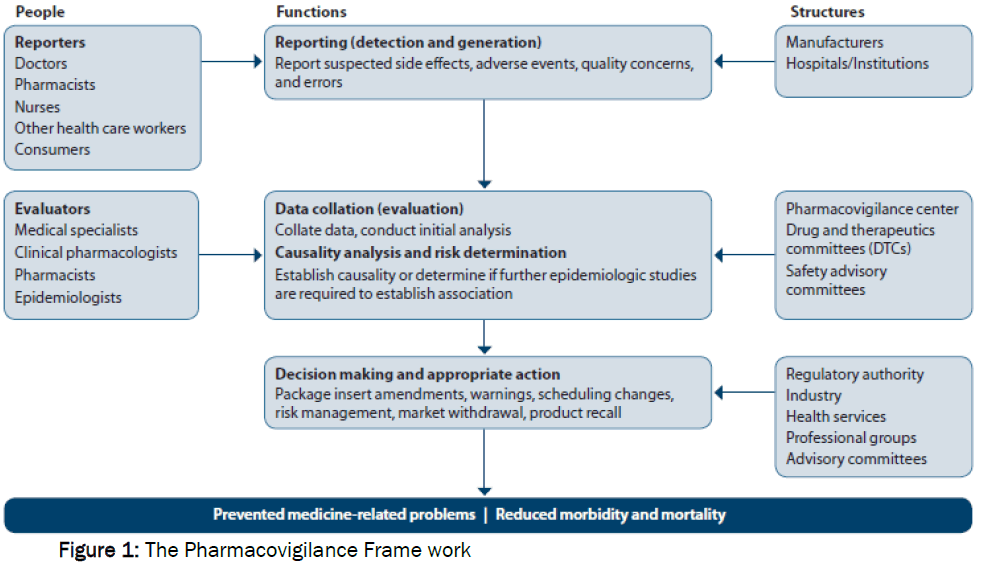 pharmaceutics-nanotechnology-frame-work