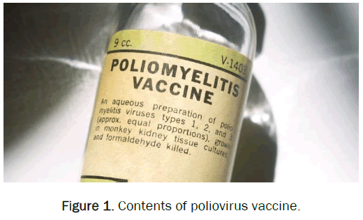 pharmaceutics-nanotechnology-poliovirus-vaccine