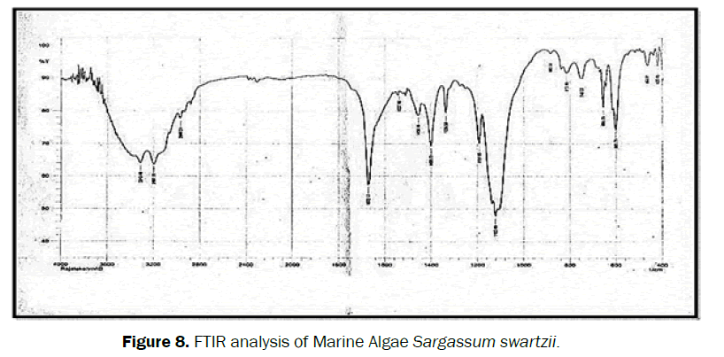 pharmacognosy-phytochemistry-Algae-Sargassum-swartzii