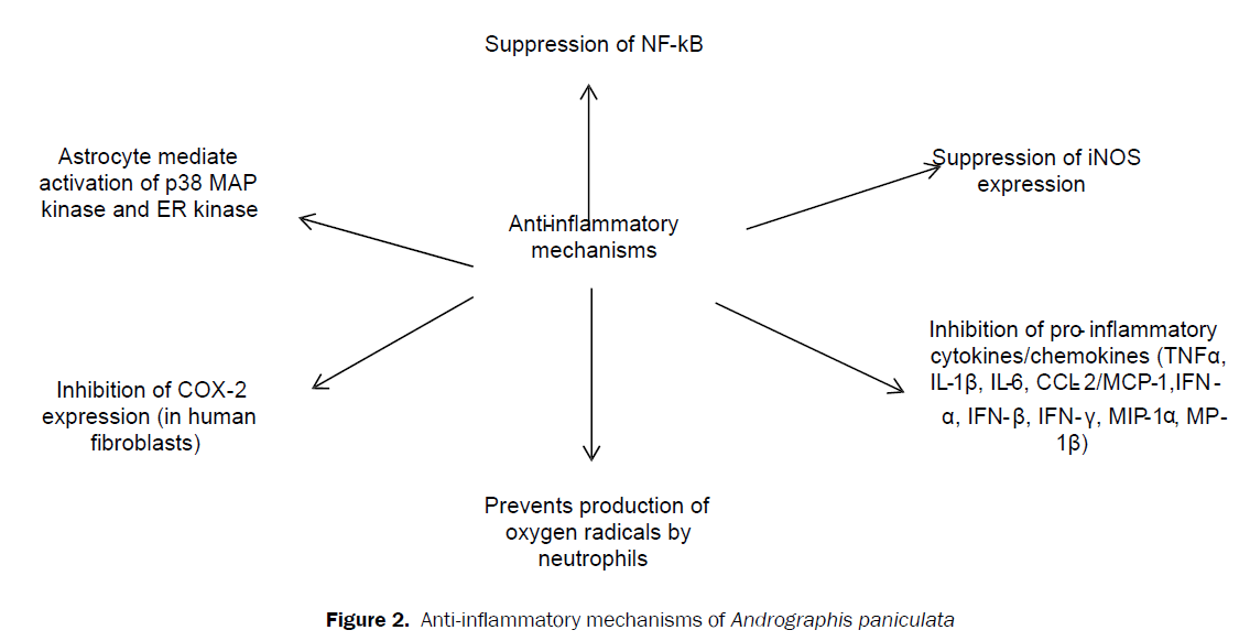 pharmacognosy-phytochemistry-Anti-inflammatory-mechanisms