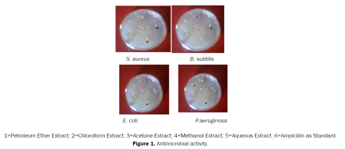 pharmacognosy-phytochemistry-Antimicrobial-activity