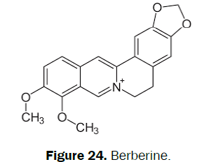 pharmacognosy-phytochemistry-Berberine