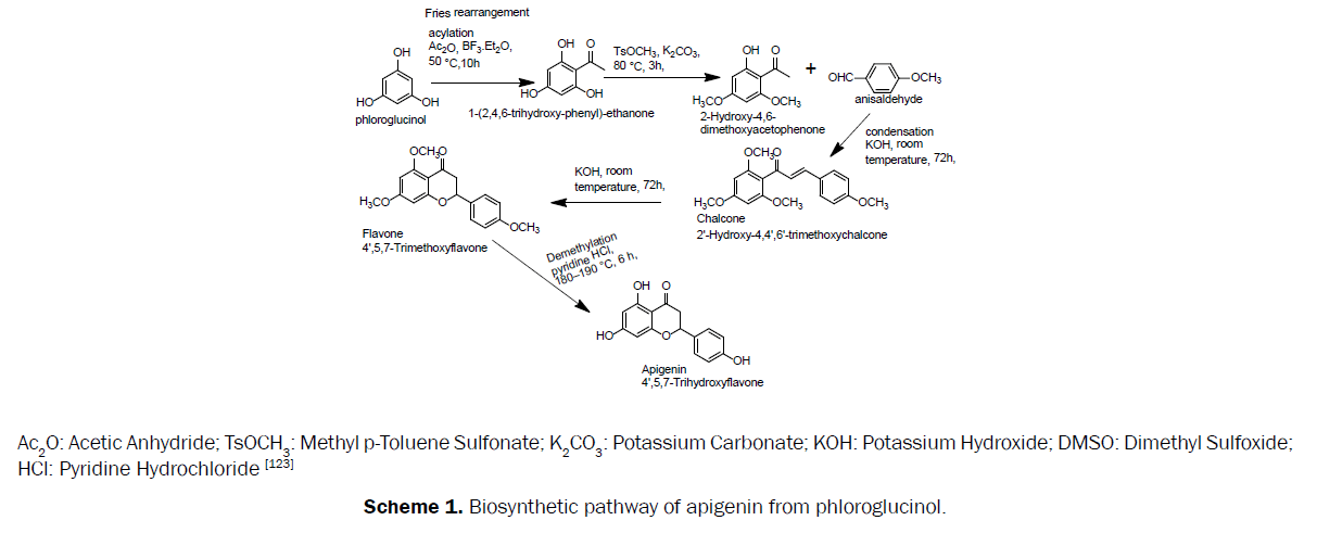 pharmacognosy-phytochemistry-Biosynthetic-pathway