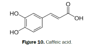 pharmacognosy-phytochemistry-Caffeic-acid